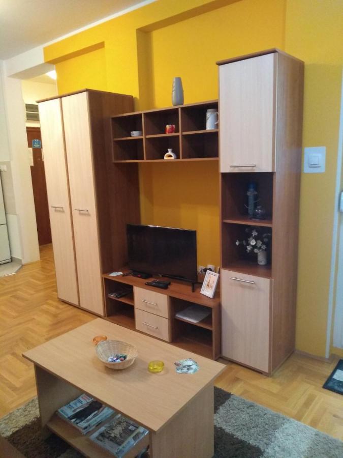Apartman Marina Sa Garazom Novi Sad Exteriör bild